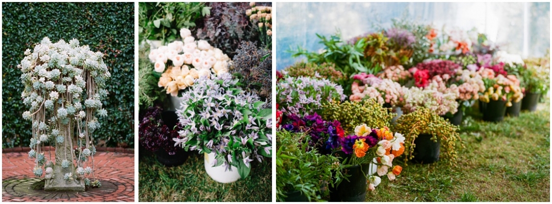 Flowers from Florabundance